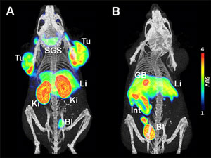 imaging of neuroreceptors